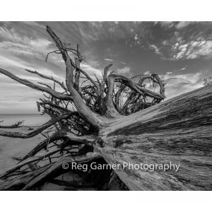 Reg Garner Photography For Sale