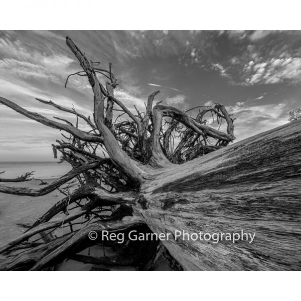 Reg Garner Photography For Sale